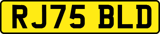RJ75BLD