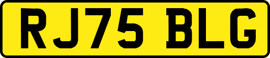RJ75BLG
