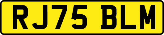RJ75BLM