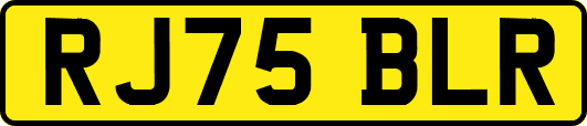 RJ75BLR