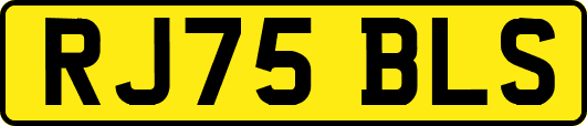 RJ75BLS