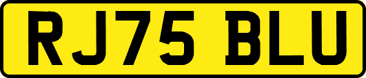 RJ75BLU