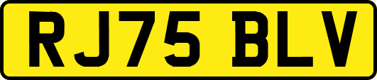 RJ75BLV