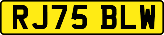RJ75BLW