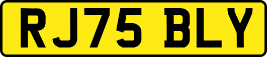 RJ75BLY