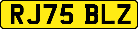 RJ75BLZ