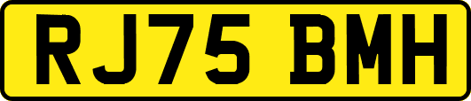 RJ75BMH