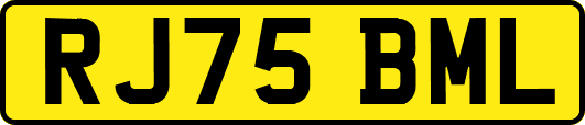 RJ75BML