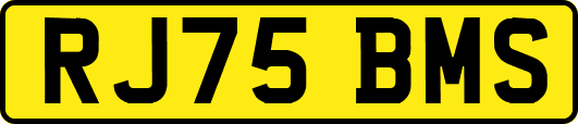 RJ75BMS