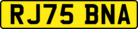 RJ75BNA