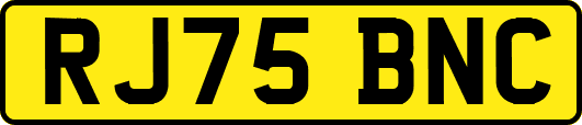 RJ75BNC