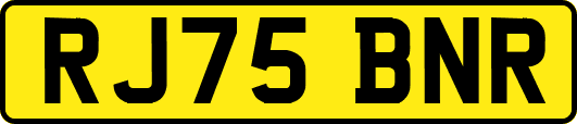 RJ75BNR