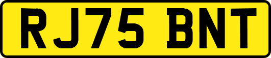 RJ75BNT
