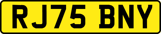 RJ75BNY