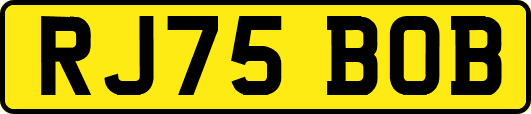 RJ75BOB