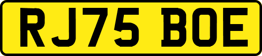 RJ75BOE