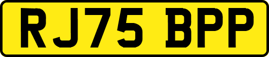 RJ75BPP
