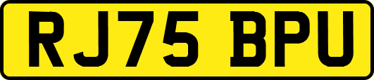 RJ75BPU