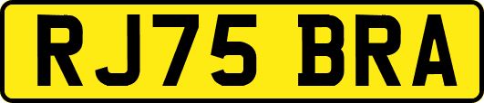 RJ75BRA