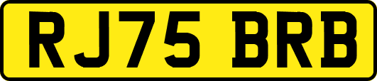 RJ75BRB