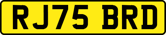 RJ75BRD