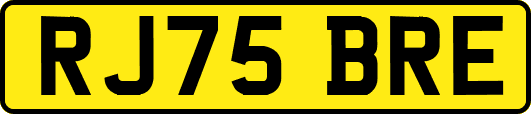 RJ75BRE