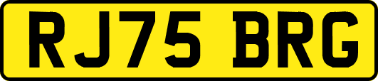 RJ75BRG