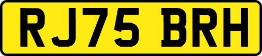 RJ75BRH
