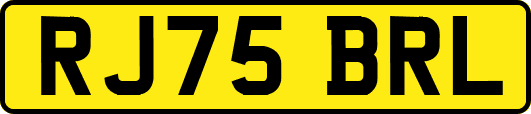 RJ75BRL