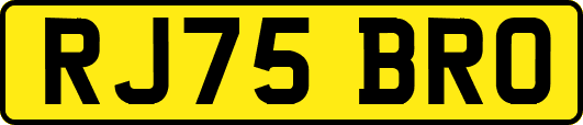 RJ75BRO