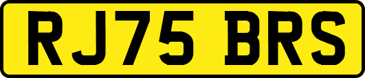 RJ75BRS