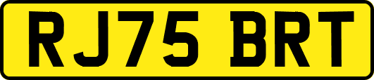 RJ75BRT