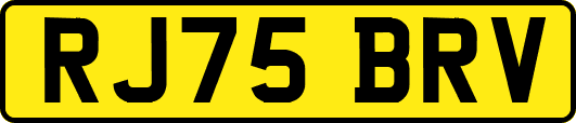 RJ75BRV