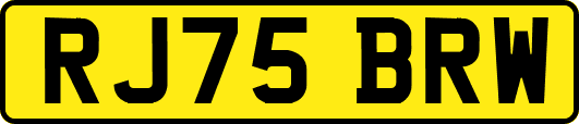RJ75BRW