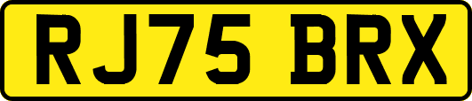 RJ75BRX
