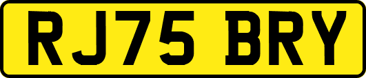 RJ75BRY