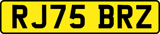 RJ75BRZ