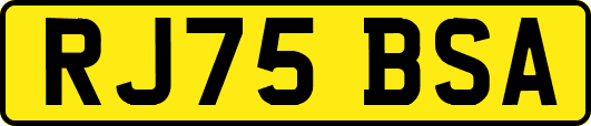 RJ75BSA