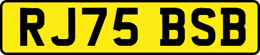 RJ75BSB