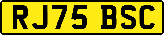 RJ75BSC