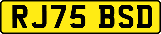 RJ75BSD