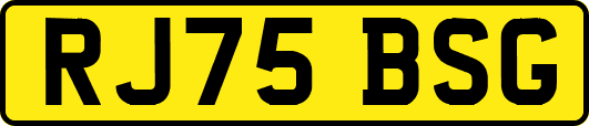 RJ75BSG