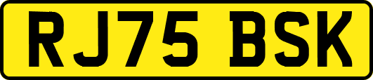 RJ75BSK