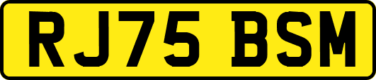 RJ75BSM