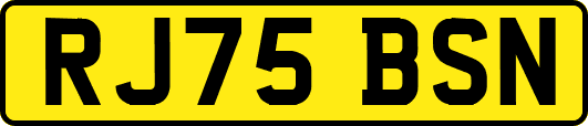 RJ75BSN