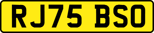 RJ75BSO