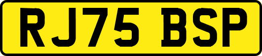 RJ75BSP