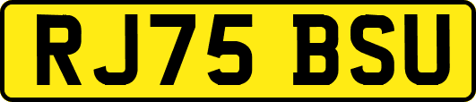 RJ75BSU