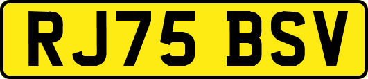 RJ75BSV