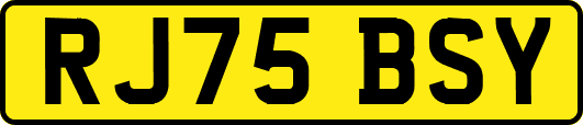 RJ75BSY